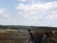 PLF172 MAY 1978.jpg